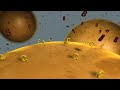 Magnetic separation technology was pioneered by Dynal for the separation of biomagnetic material. Dynabeads technology supports genomics, transcriptomics, proteomics, diagnostics, basic research, clinical cell separation and more.