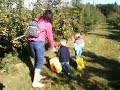 Clara and Teddy apple picking