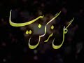 Imam-e-Zamaan (A.S.) (video clip--presentation)