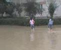 2 Stupid Girls  din bacau