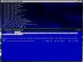 Install Debian and NetBSD on Xen Domu