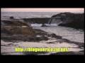 Sua aus�ncia