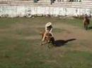 The Rodeo