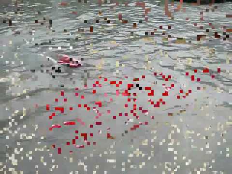 Hobby Engine Flash Boat