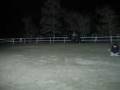 videos de Lobo's Red Star *aka* Strawberry