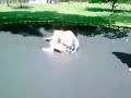 funny moms