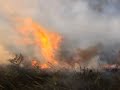 incencios
