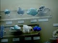 minerales