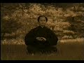 Taoist Qi Gong 12 Posture Taoist Qi Gong 12 Posture
