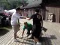 soul-fest-06-casting-crowns-drummer-wrestling.html