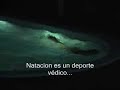 Verano Vedico...