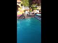 Click here to watch this video Perfect dive
