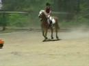 Rustic Trail Show