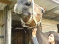 Amadeo und Katie Amadeo und Katie