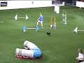 Dami at wc qualifications