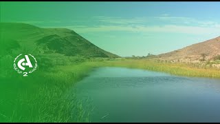 Le lac Tafegoumt: Une zone humide qui défie l'aridité de Tindouf