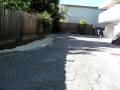 kaley corgi plays fetch FAST