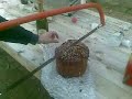 La Scrima...Il panettone si taglia con la sega!!!Boville