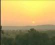 ORGANIC INDIA Corporate Video