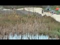 Clip14 (RoachValleyRaiders)