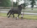 MovieClip 2342