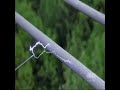 送電線のメンテナンス