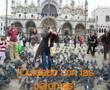Venecia