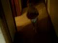 LTF playing with his basketball