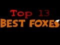 South Jersey Sam - Top 13 Best Foxes