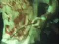 napalm death - cock rock alienation