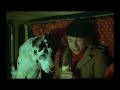 Je suis timide mais je me soigne ( la sc�ne du chien affam�)