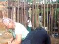 videos de Uganda 191.MOV