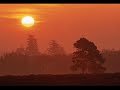 the quiet joys of brotherhood   sandy denny