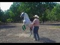 Martin Serrano-Tu enamorado-musica ranchera mexicana