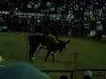 profesor jirafales a grapa en tiripetio (febrero 08)