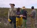 Research Burn at Ngarkat - setting See video