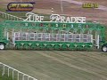 horse racing oddity:  jockey misjudges distance