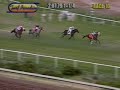 horse racing oddity:  jockey misjudges distance
