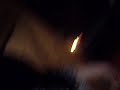 SDC10933