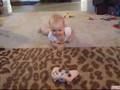 Daddy's controller
