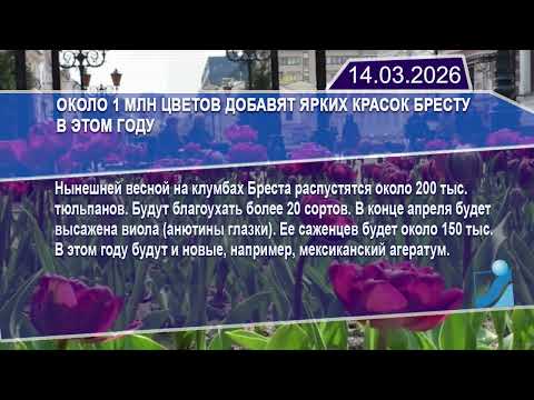Новостная лента Телеканала Интекс 14.03.26.