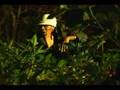 Maverick feat 3D1 & Camille - Blazing