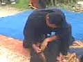 Silat Serimau Beraksi di taiping-no sound