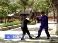 Yin Baguazhang - long form with apps