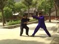 Yin Baguazhang - long form with apps Yin Baguazhang - long form with apps