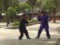 Yin Baguazhang - long form with apps
