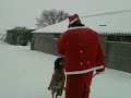 K9,police dog training!