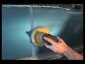 Car polishing - Heavy swirl removal with Poorboys SSR3