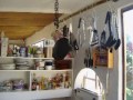 Wild Olive Guest Farm Stilbay South Africa Movie 2