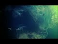 CHRIS REA - SOMEWHERE BETWEEN THE STARS (SANTO SPIRITO) From Santo Spirito Blues 2011. With scenes from the 